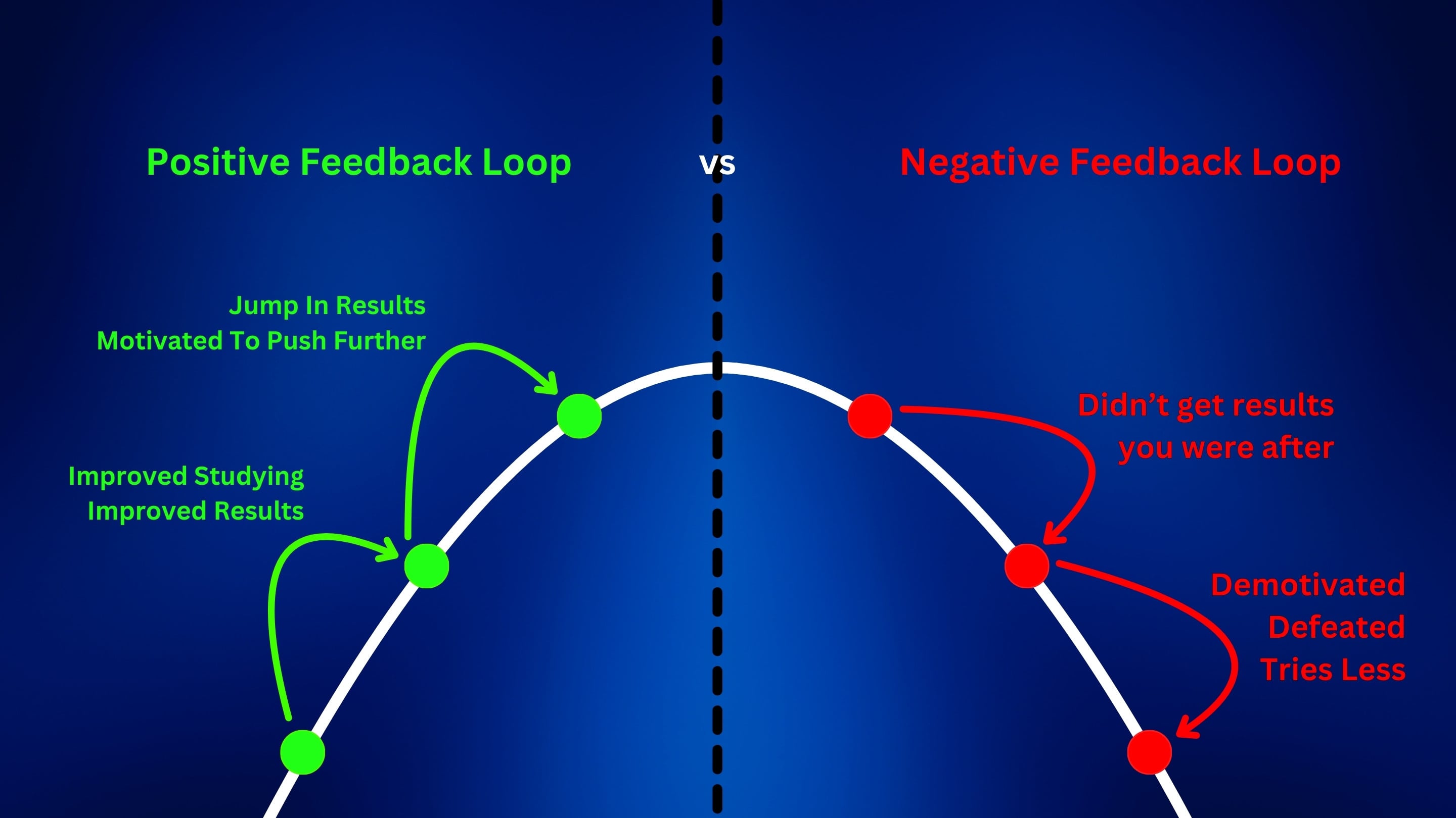 Positive and Negative Feedback Loop