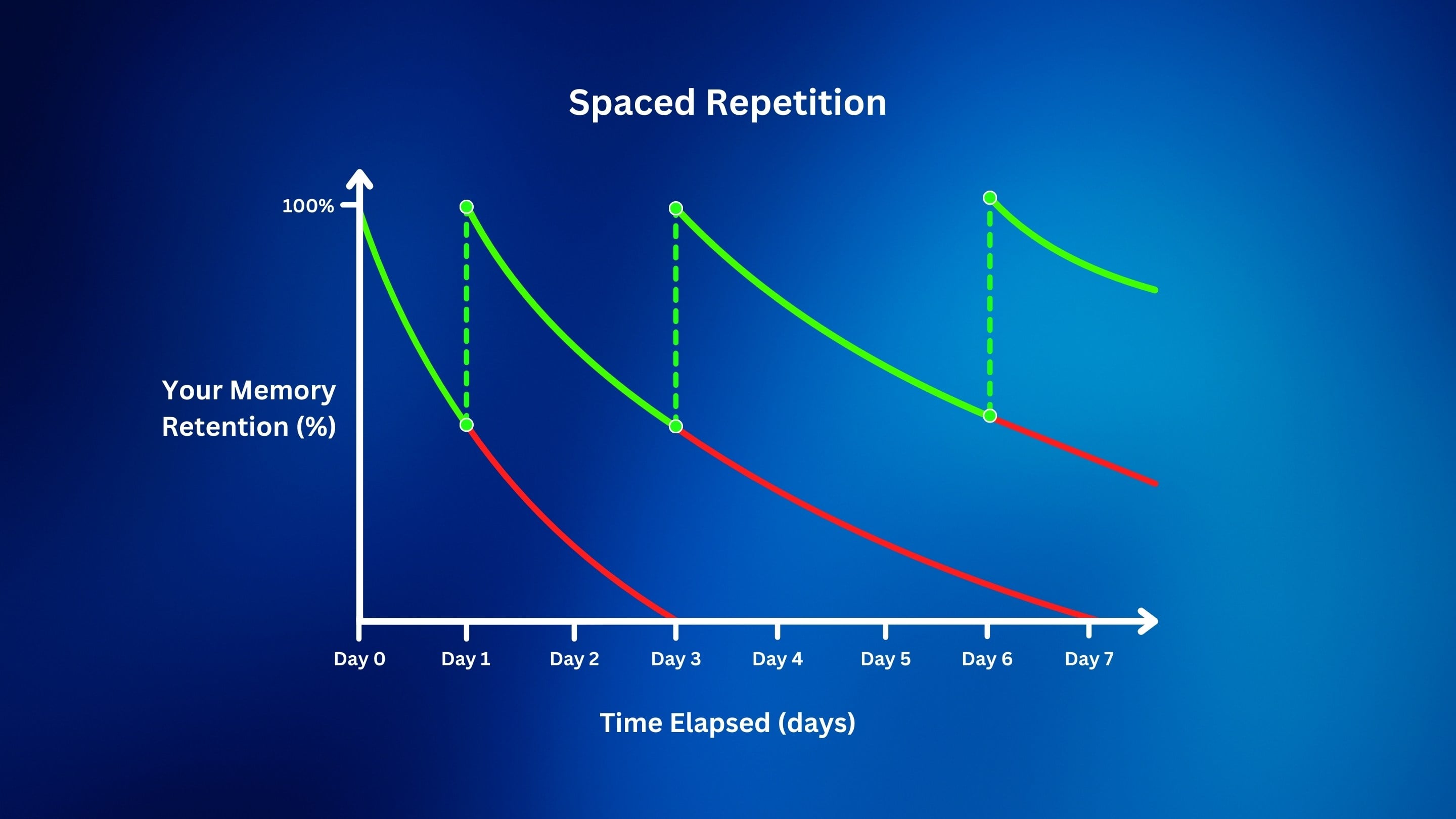 Spaced Repetition Week Graph